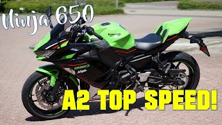 2021 KAWASAKI NINJA 650  TOP SPEED A2 35kW [upl. by Meara104]