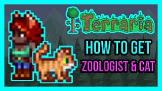 Terraria 14  How To Get Zoologist NPC  Bestiary amp Cat Guide [upl. by Laurinda109]