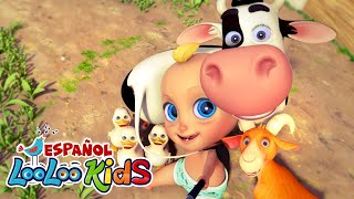 La Vaca Lola La Gallina Turuleca y Las Mejores Canciones Infantiles  LooLoo [upl. by Nellahs403]