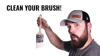 How To Properly Clean a Paint Brush [upl. by Gaby]