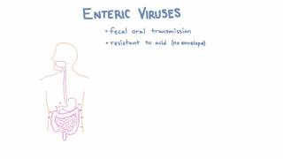 Introduction to Enteric Viruses [upl. by Notaek273]