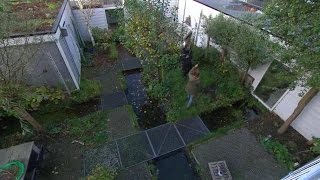 Scandinavische tuin  EIGEN HUIS amp TUIN [upl. by Ssitruc]