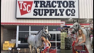 I TOOK MY HORSE INTO A TRACTOR SUPPLY STORE [upl. by Hazem]