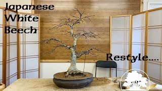 Restyling a Japanese White Beech  Greenwood Bonsai [upl. by Jany]