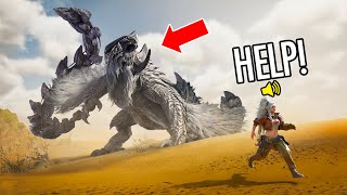 Monster Hunter Wilds WTF amp Funny Moments 1 [upl. by Eittod]