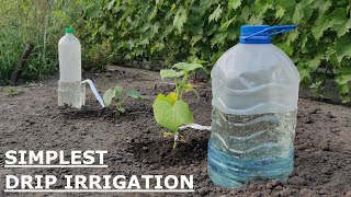 The EASIEST DRIP IRRIGATION DIY in a FEW MINUTES [upl. by Esten]