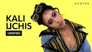 Kali Uchis quotAfter The Stormquot Official Lyrics amp Meaning  Verified [upl. by Louisette286]