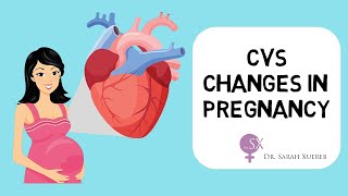 Cardiovascular Changes in Pregnancy [upl. by Bamford]