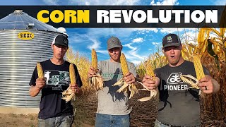 CORN REVOLUTION Official Music Video [upl. by Eremaj]