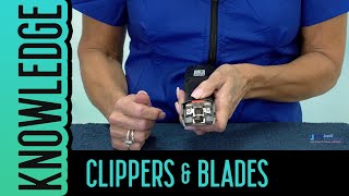 DIY Dog Clipper amp Blade Maintenance for Pet Groomers [upl. by Attem]