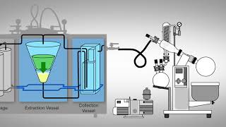 Ethanol Extraction Process  Capna Fabrication [upl. by Analrahc102]