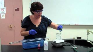 How to Perform an Endospore Stain [upl. by Gibbons877]