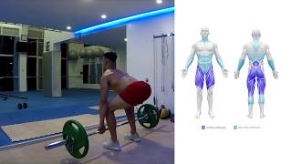 Deadlift  How To Do A Deadlift Benefits amp Muscles Worked [upl. by Aneekan]