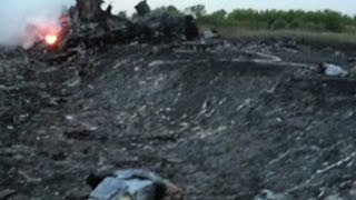 Journalist Bodies turned inside out at MH17 crash site [upl. by Moraj225]