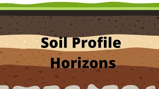 Soil Profile and Soil Horizons [upl. by Inobe]