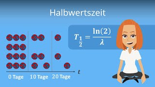 Halbwertszeit berechnen  einfach erklärt [upl. by Ikram384]