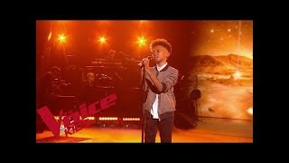 Daniel Balavoine  SOS dun terrien en détresse  Soan  The Voice Kids France 2019  Finale [upl. by Eerak465]