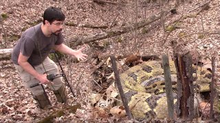 The Search for an Ohio Timber Rattlesnake [upl. by Carree]