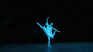 La Bayadere 3rd Shade Variation Bolshoi Ballet [upl. by Nitsrik]