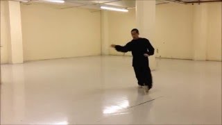 Xing Yi Quan  HsingI 河北形意拳  Heng or Earth Quan Teaching Footage in Chinese [upl. by Leirua]