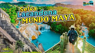 Las 4 mejores cosas que hacer en Palenque Chiapas Mexico 🌴🏊‍♀💦 [upl. by Ettenaj400]