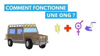 Comment fonctionne une ONG [upl. by Audun674]