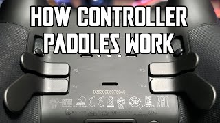 How Controller Paddles Work and Why Theyre Worth it [upl. by Beaufort599]