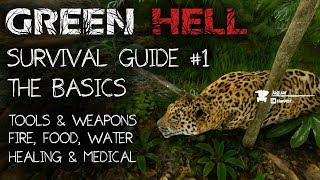 Green Hell Guide  The Basics tools weapons food medical [upl. by Assiral869]