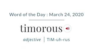 Meaning of timorous timorous pronunciation [upl. by Aikaj]