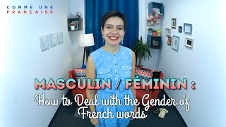 French Genders Rules for Masculine  Feminine Words [upl. by Ddal210]