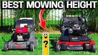 How TALL should you MOW your LAWN Perfect Height [upl. by Neelyk471]