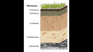 Weathering and Soil Formation [upl. by Letha]