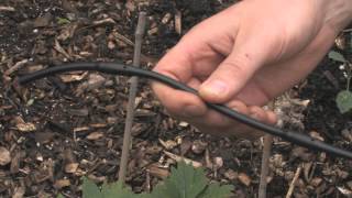 Drip Irrigation Basics [upl. by Litman524]