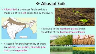 Soils of India CBSE SSTEVS Class 4 [upl. by Liane827]