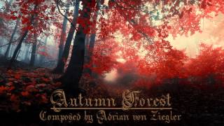 Relaxing Celtic Music  Autumn Forest [upl. by Nesta]