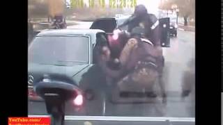 Russian Mafia boss Unexpected Arrest [upl. by Onit]