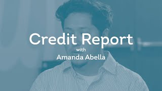 What Goes into a Credit Report  TransUnion [upl. by Nowed]