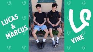 Lucas and Marcus NEW Vines 2016  Vine Compilation [upl. by Anev674]