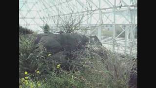 Biosphere 2 Tour Part 1 [upl. by Alika96]