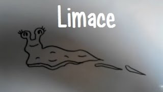 Dessiner une limace [upl. by Einaj450]