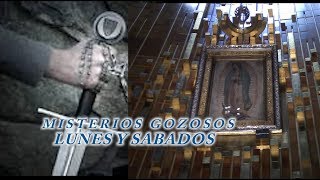 MISTERIOS GOZOSOS POR LAS ALMAS DEL PURGATORIO Y POR TI [upl. by Edmondo82]